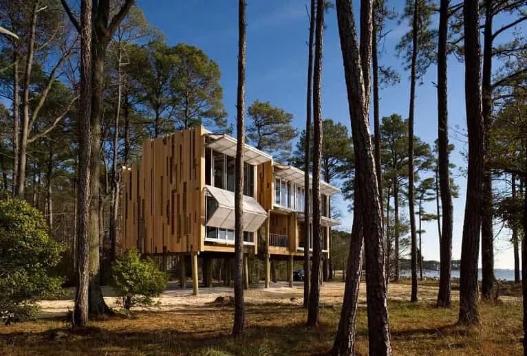 casa de madera con árboles